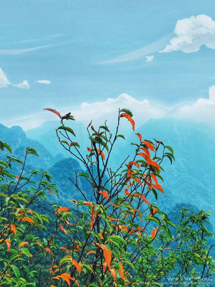 ✎ℳ❦̯⁵²⁰芳心₁₃₁₄̯