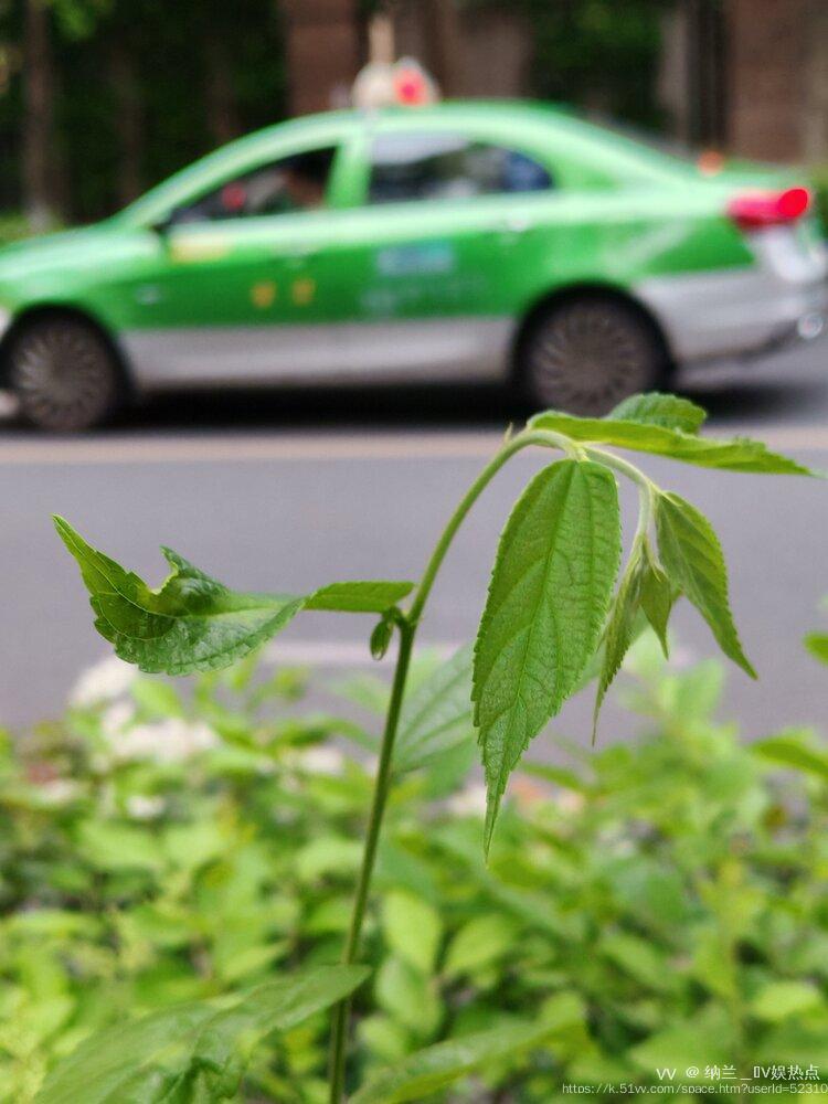 纳兰＿🎤V娱热点