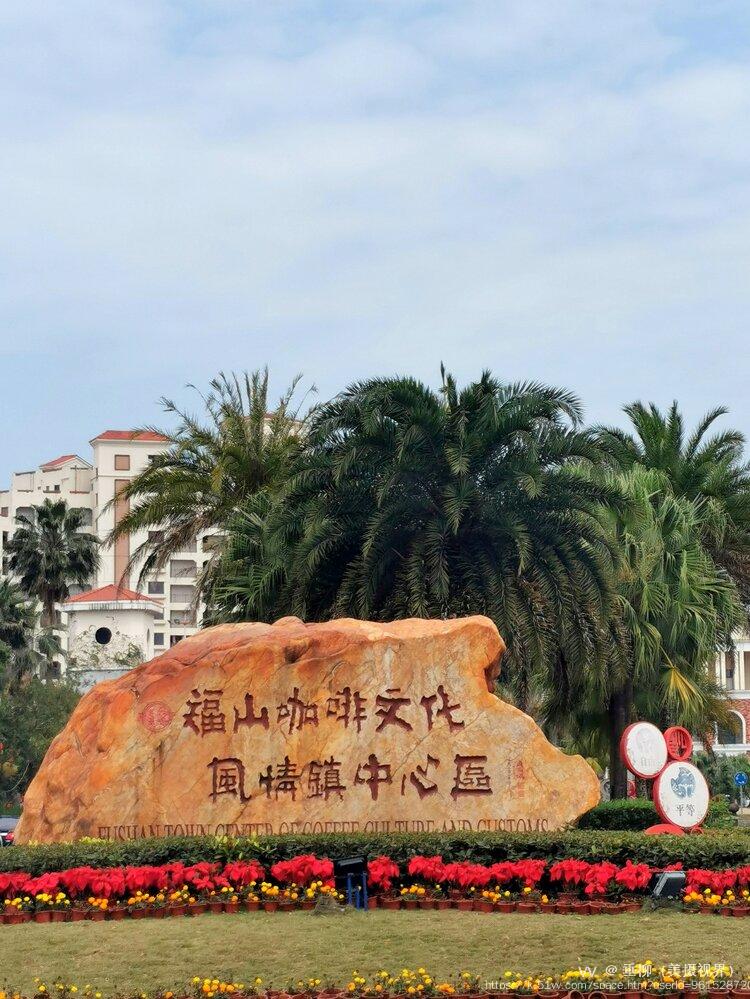 垂柳（美摄视界）