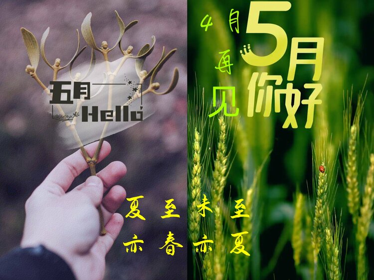 喵星ⓜ¹泰屾誏