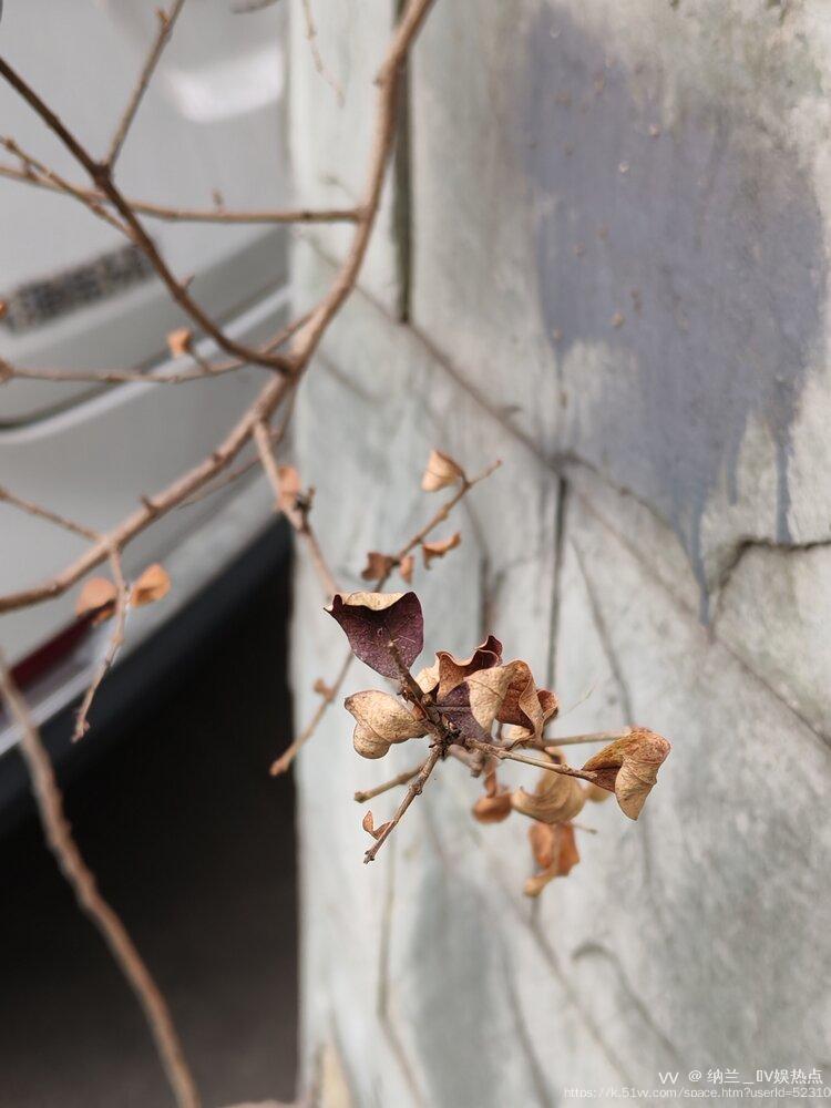 纳兰＿🎤V娱热点