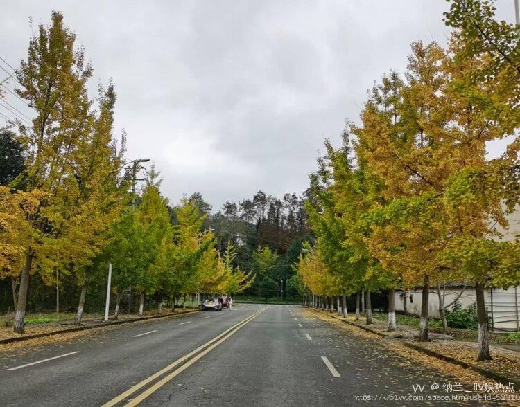 纳兰＿🎤V娱热点