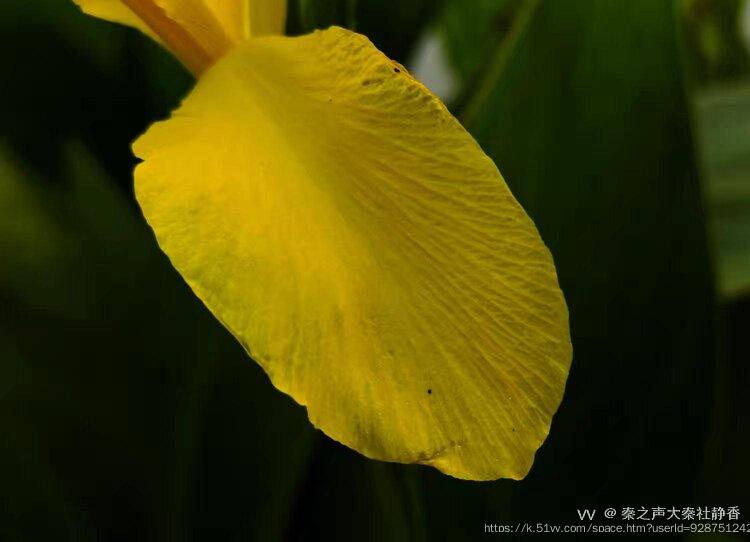 秦之声大秦社静香