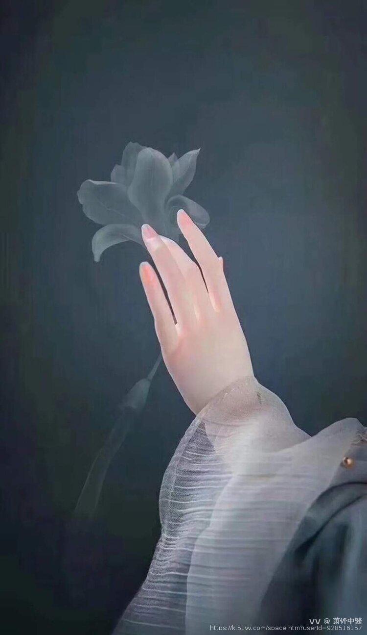萧锋中醫