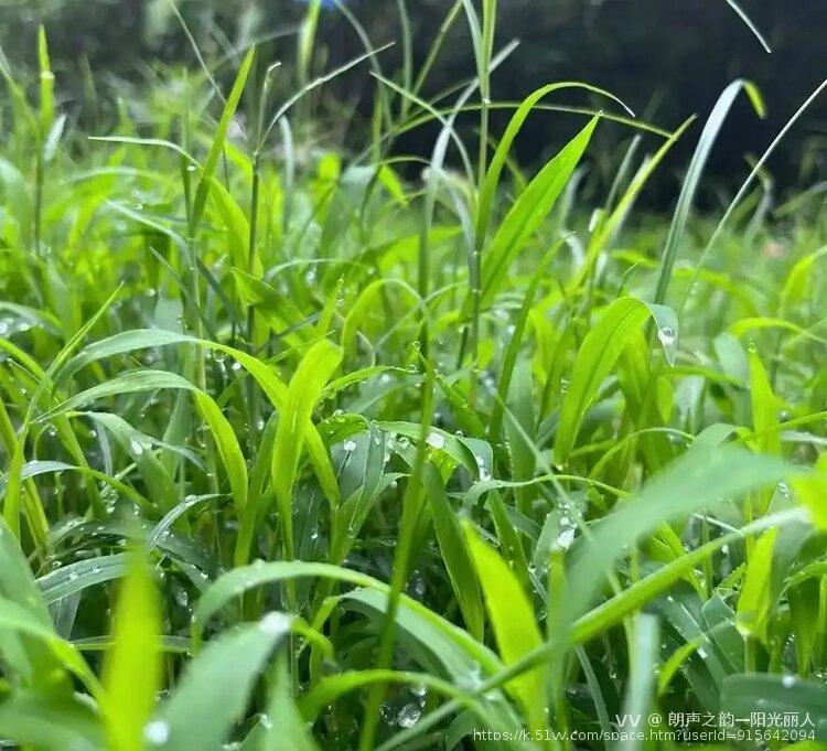 朗声之韵—阳光丽人