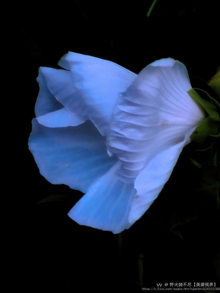 野火烧不尽【美摄视界】