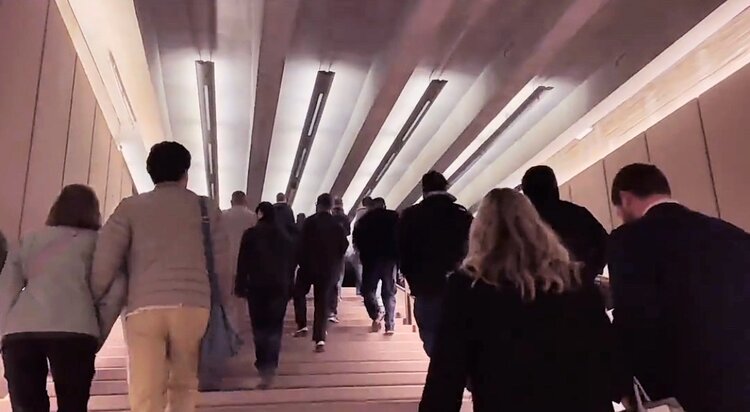 澳洲世界华人公会