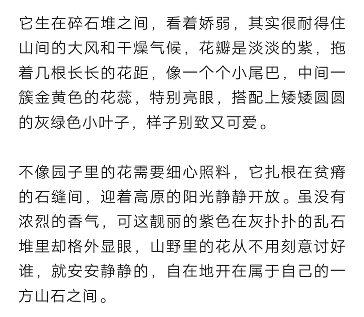 秦声缘💫诚实