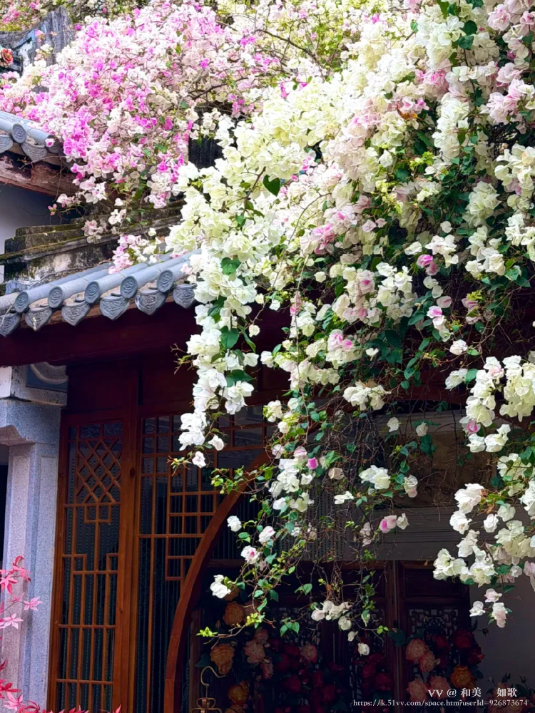 和美🎼 如歌💞