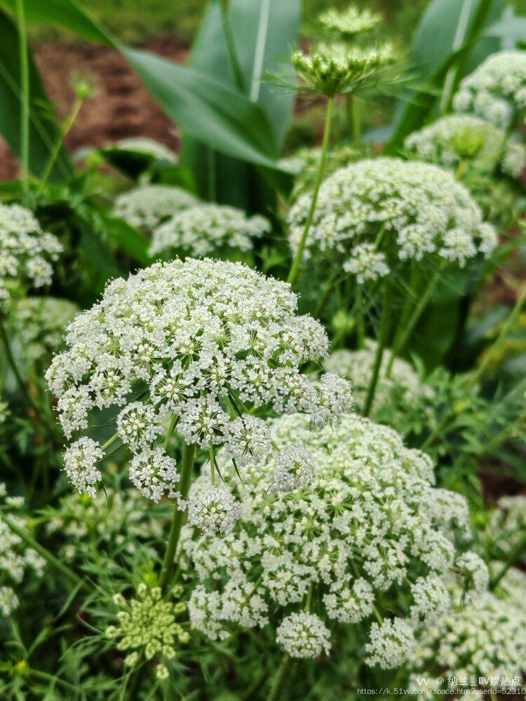 纳兰＿🎤V娱热点