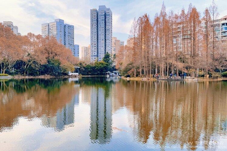 💫 雲鼎🍁白云 