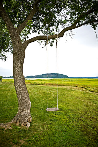 【首发】秋千上,荡起了谁的春风