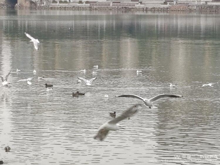 纳兰＿🎤V娱热点