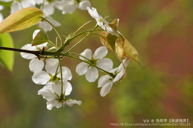 浩然亭【美摄视界】
