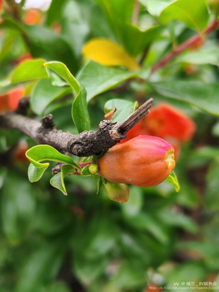 纳兰＿🎤V娱热点