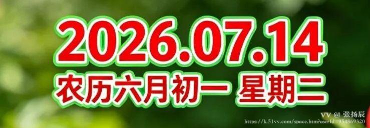 张扬辰