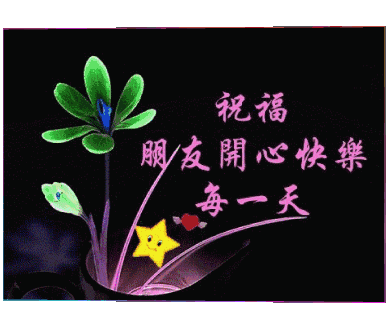 苦丁茶
