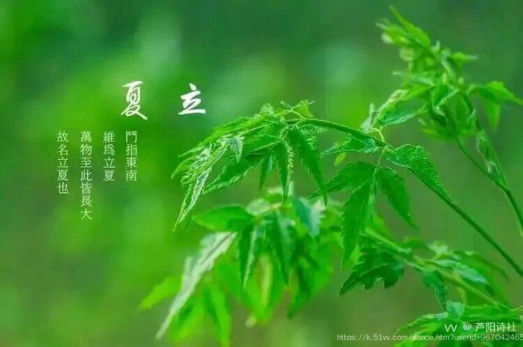 芦阳诗社