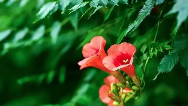 雪儿🎤V娱热点