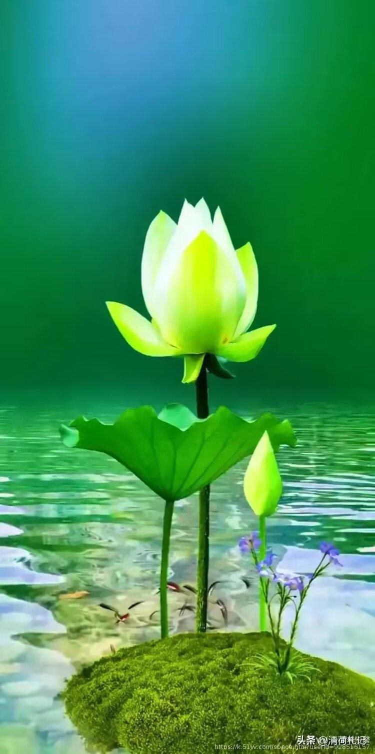 萧锋中醫