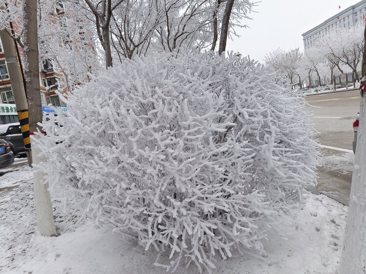 雪儿🎤V娱热点