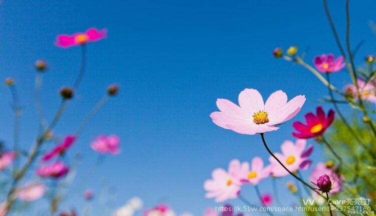 ℒℴѵℯ亮亮ꦿ໊ོ °