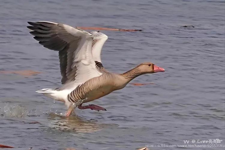 ℒℴѵℯ亮亮ꦿ໊ོ °