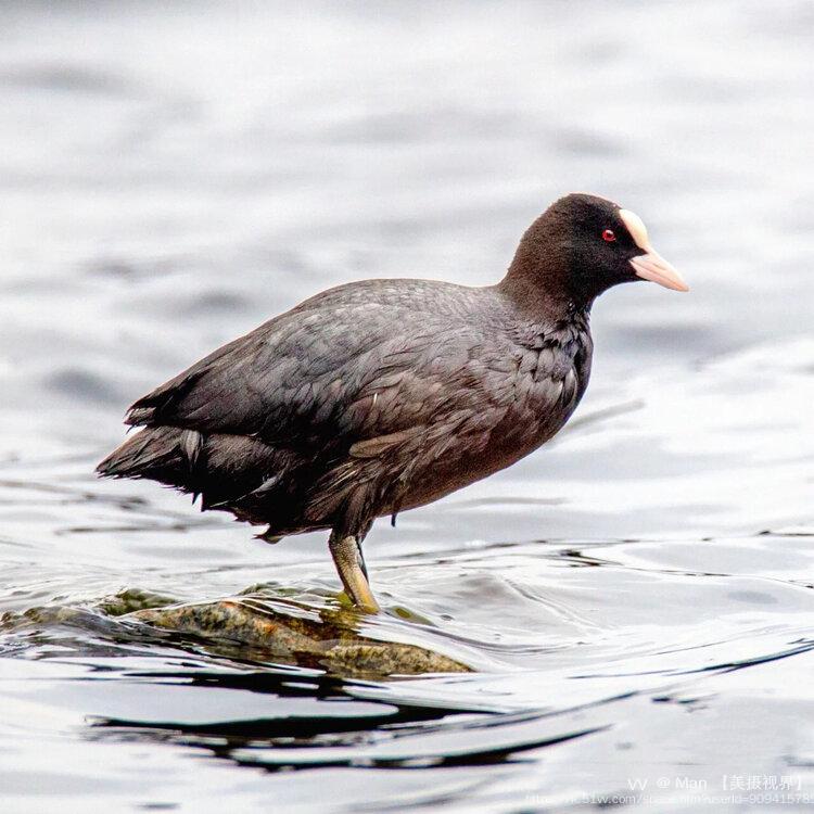 Man 【美摄视界】