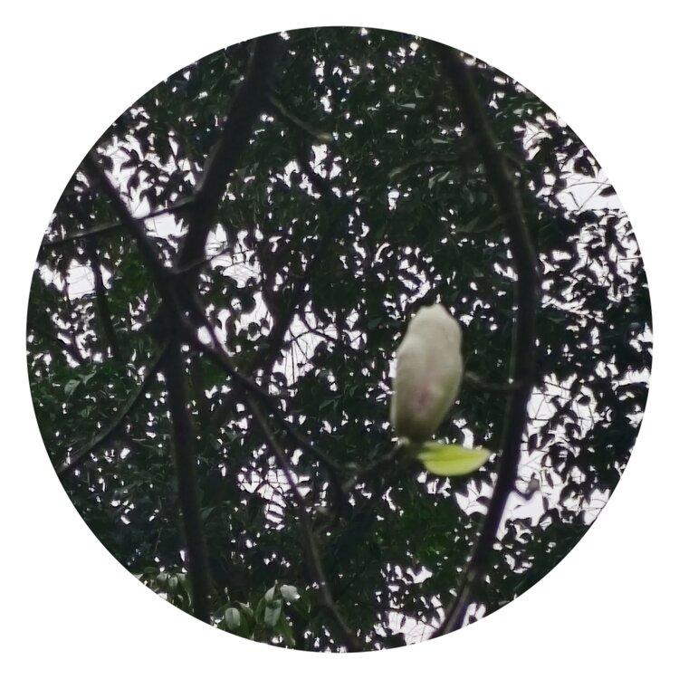 纳兰＿🎤V娱热点