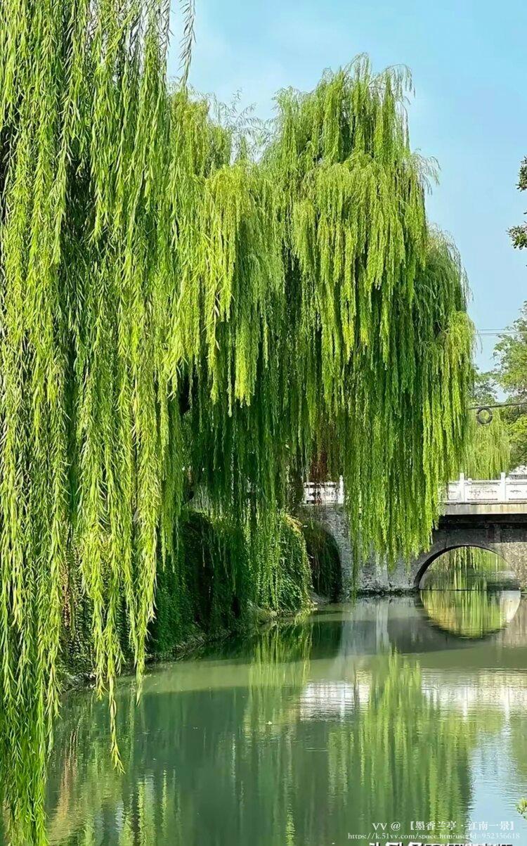 【墨香兰亭·江南一景】