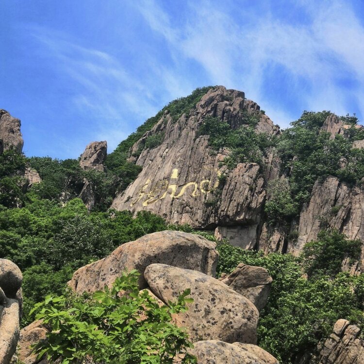 张国政(爱国军旅文坛)