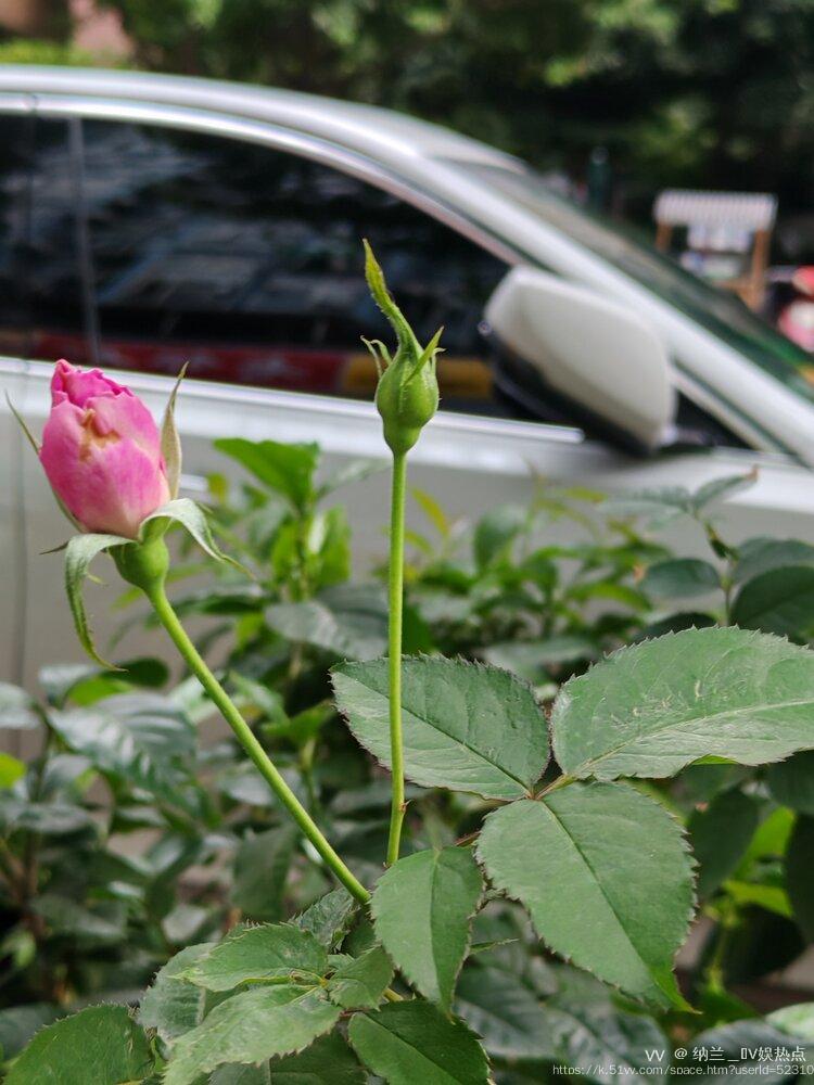 纳兰＿🎤V娱热点