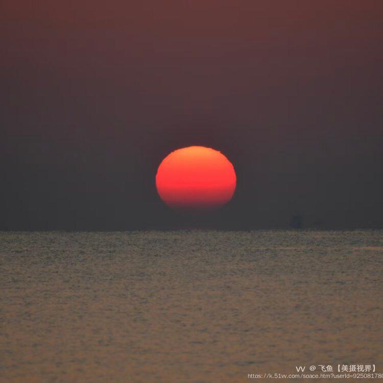 飞鱼【美摄视界】