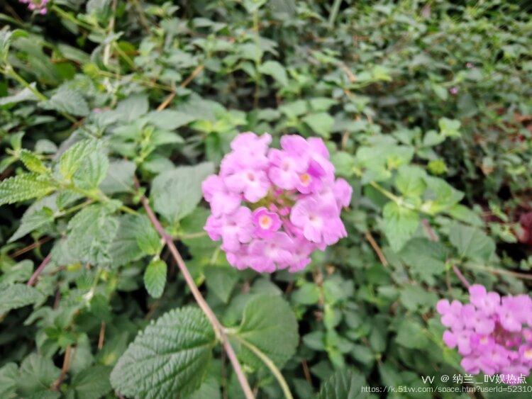 纳兰＿🎤V娱热点