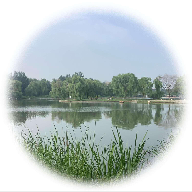 青士李振汉