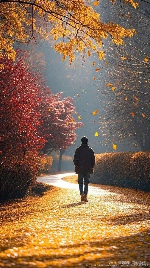 梧桐雨琳【雅韵文轩】