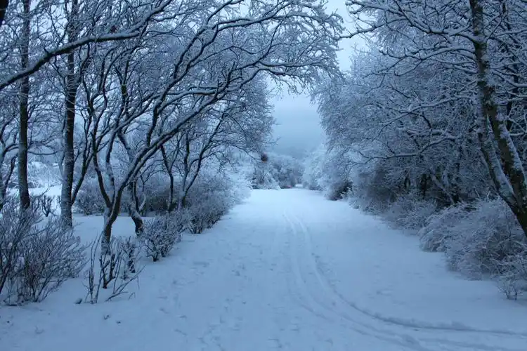 千山暮雪【西窗剪烛】