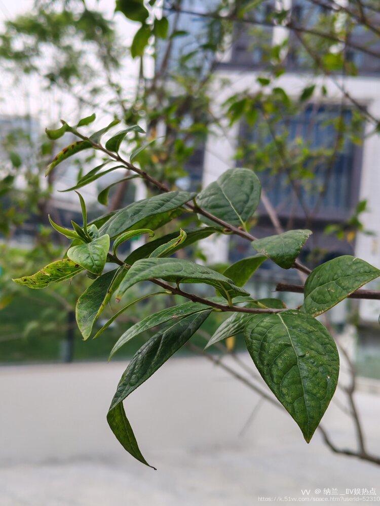 纳兰＿🎤V娱热点