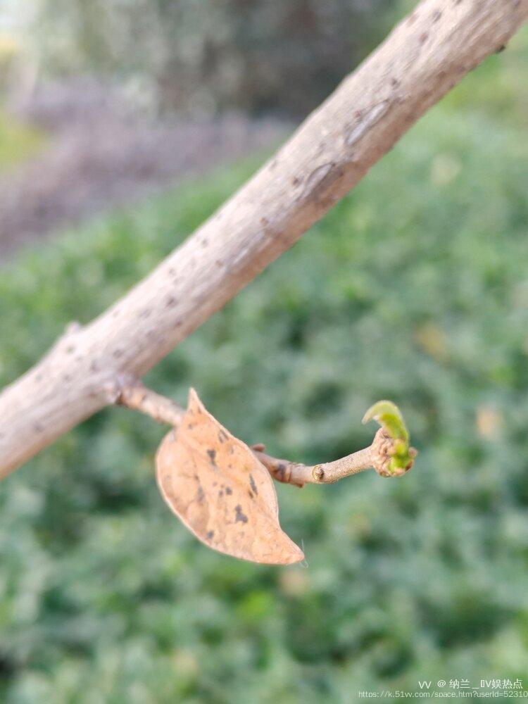 纳兰＿🎤V娱热点