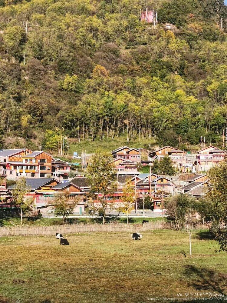 ✎ℳ❦̯⁵²⁰芳心₁₃₁₄̯