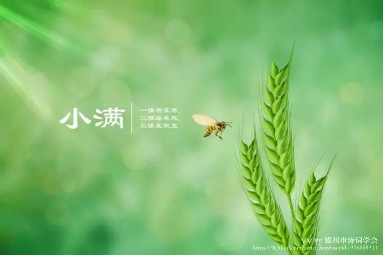 银川市诗词学会
