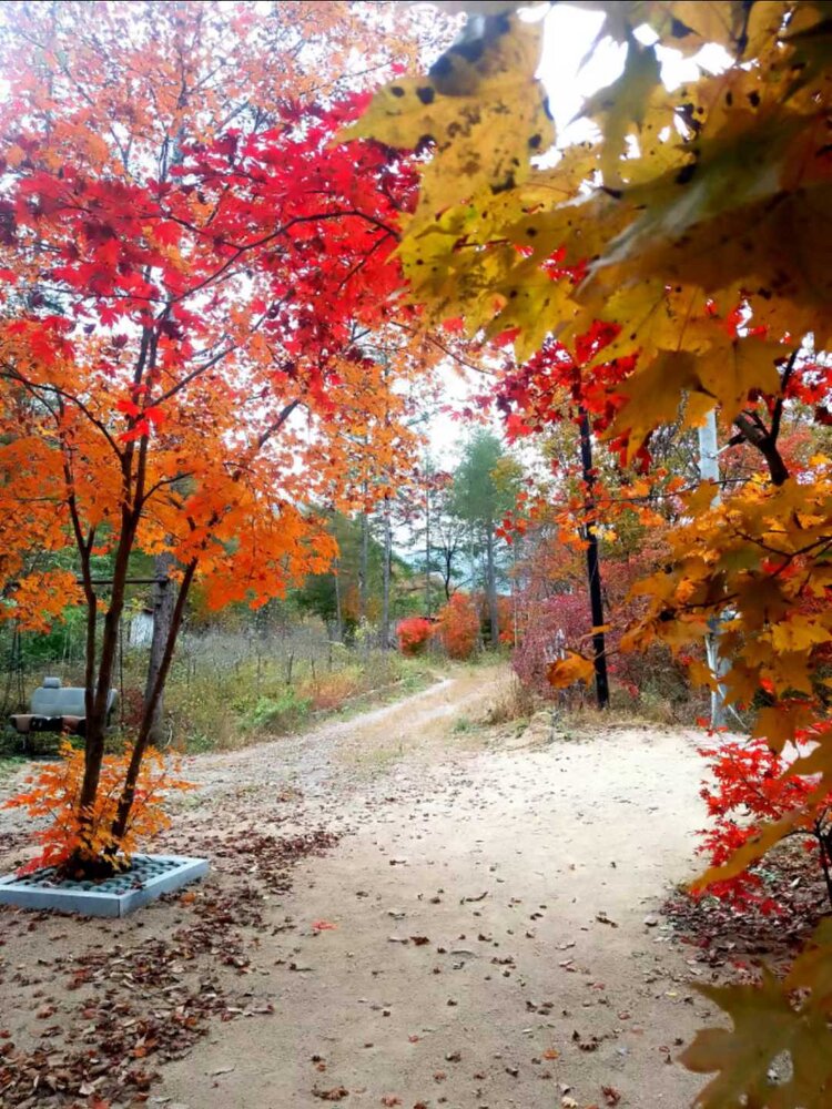 雪儿🎤V娱热点