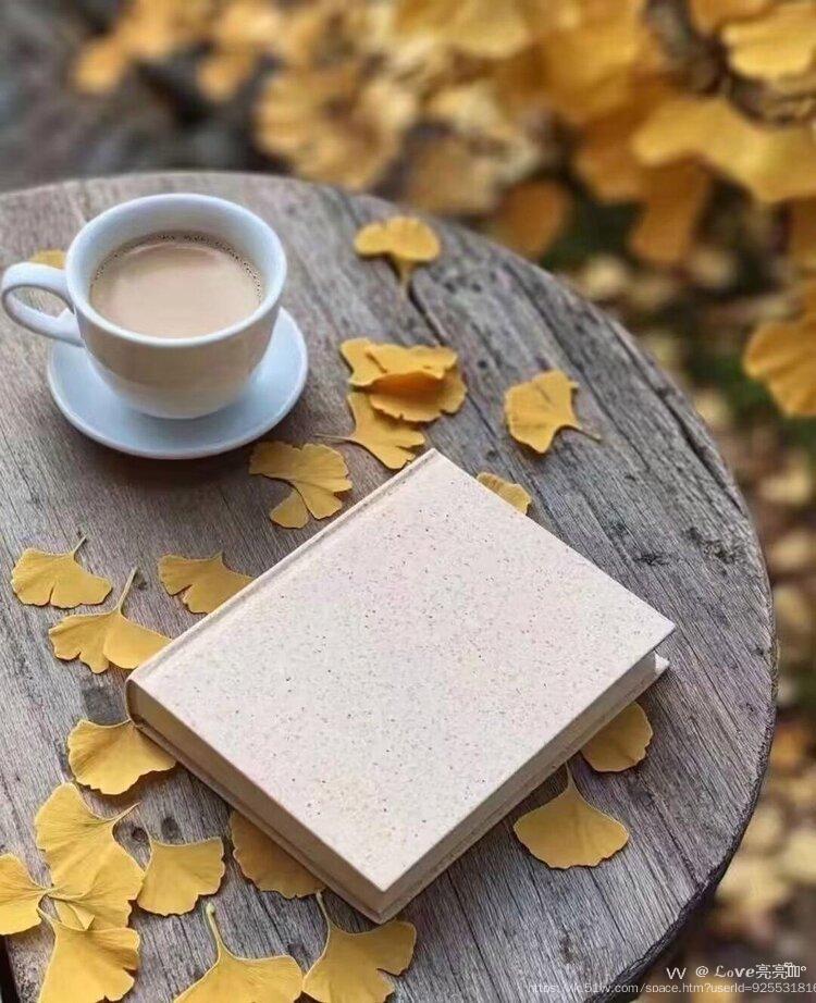 ℒℴѵℯ亮亮ꦿ໊ོ °