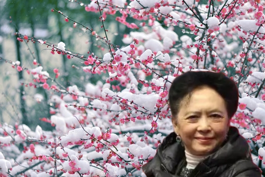 梅花雪舞【朗诵专区】
