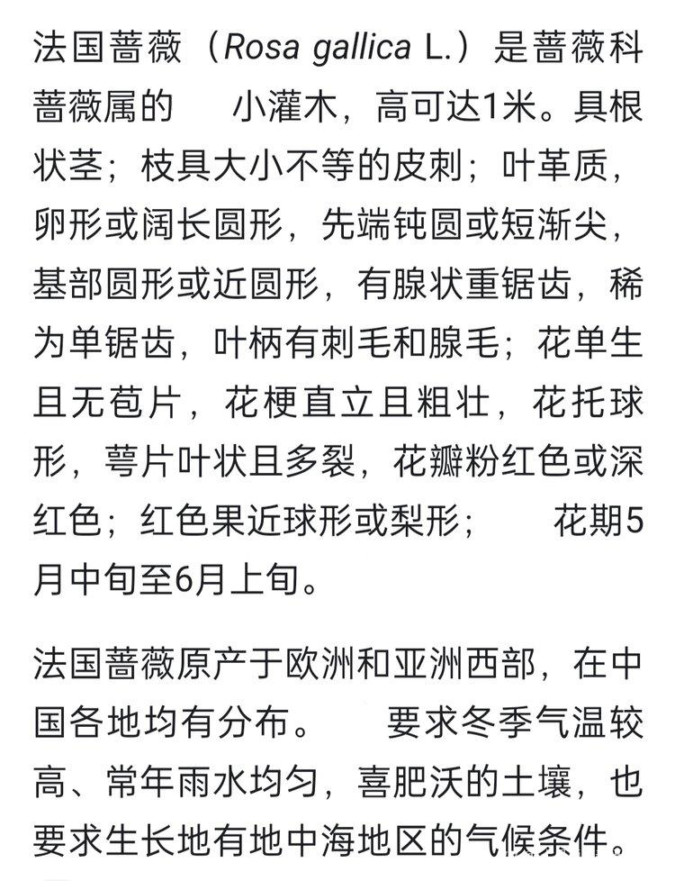 七月雨【美摄视界】 