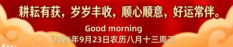 张扬辰