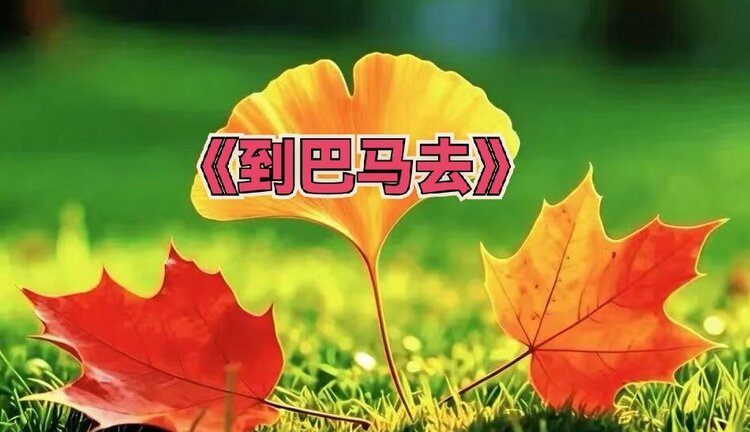 张扬辰