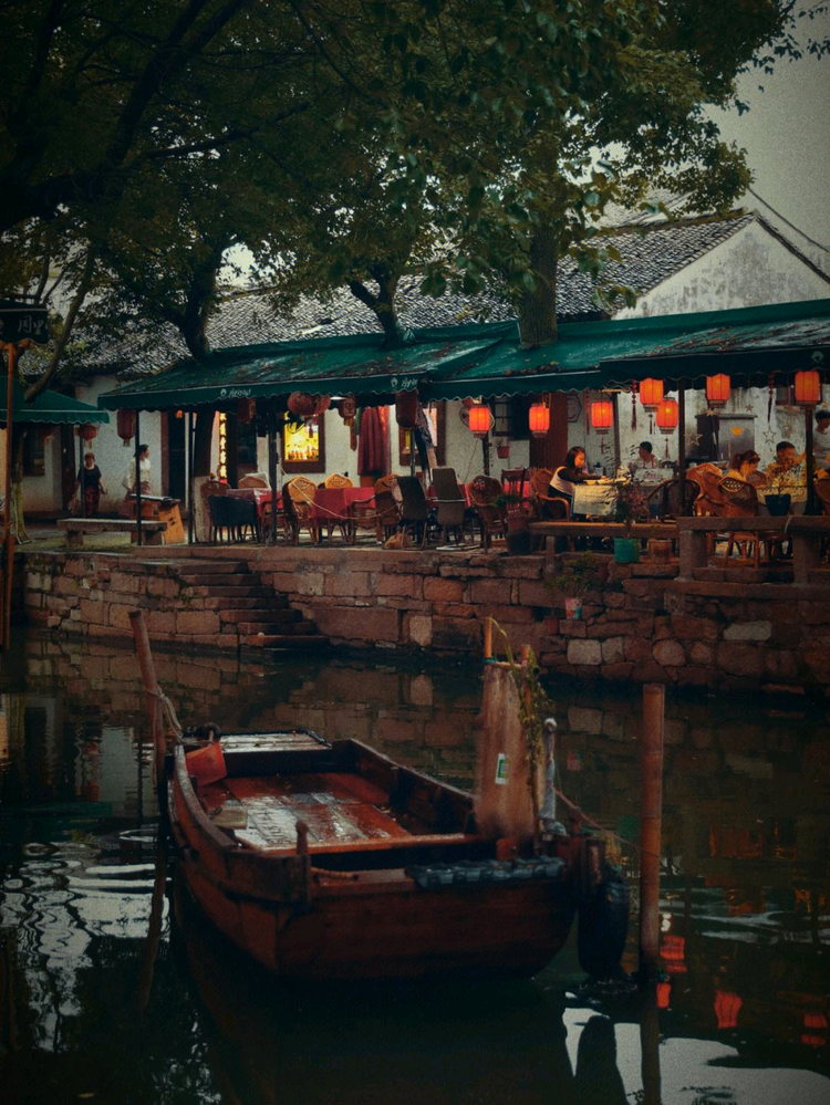 杨杨