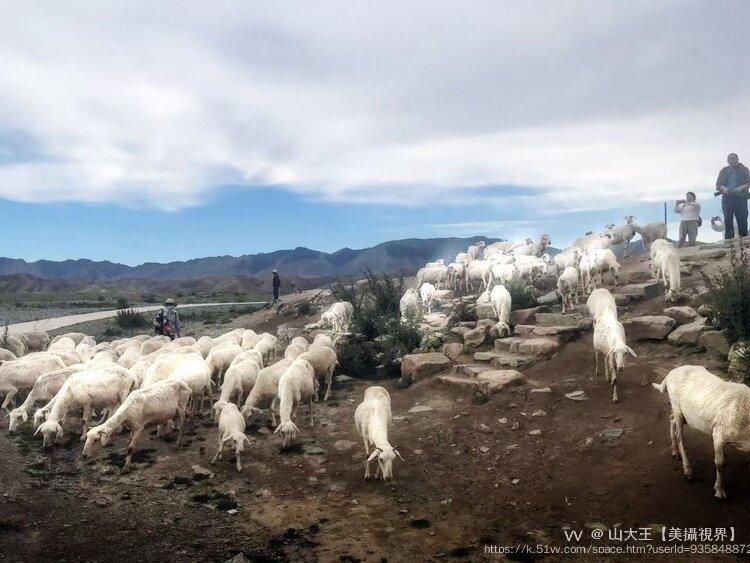 山大王【美攝視界】