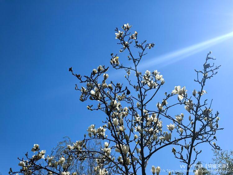 宁静【情暖天涯】